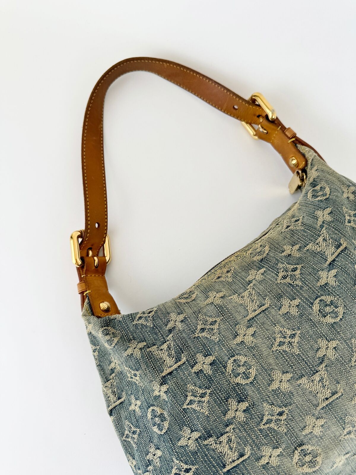 Louis Vuitton Denim Baggy PM shoulder bag